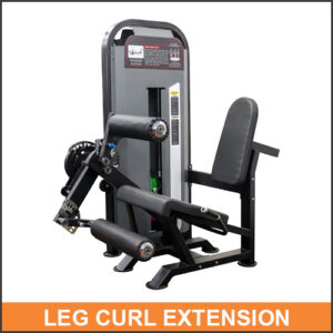 LEG CURL EXTENSION.jpg